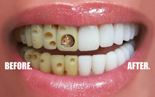 Transformation That Speaks Volumes