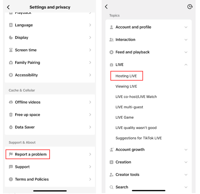 Request LIVE access through TikTok support